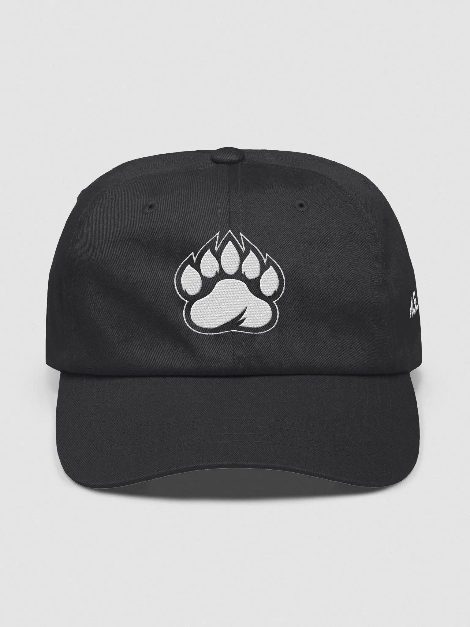 Bears Dad Hat product image (1)