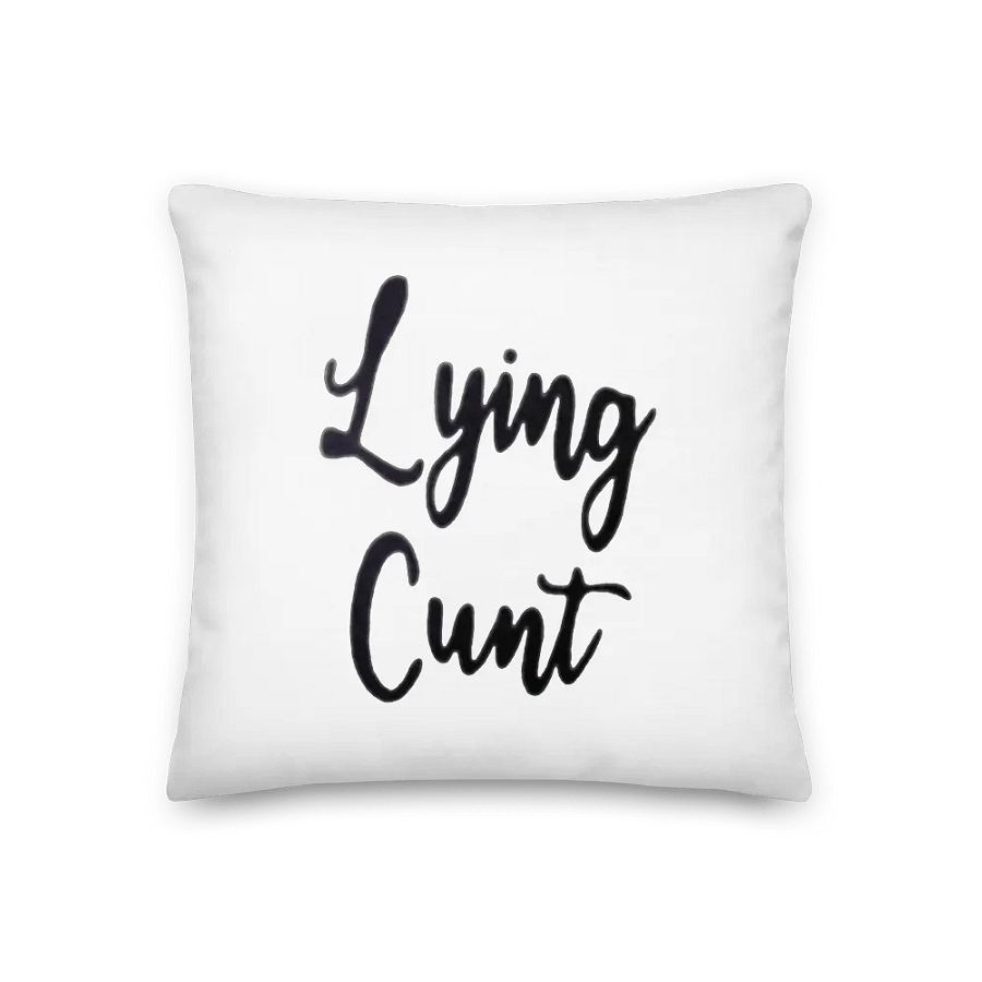 C*nt Pillow from ‘Somebody Somewhere’ product image (2)
