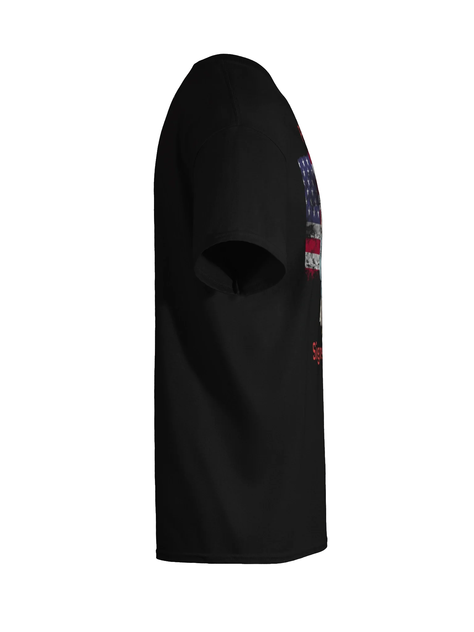 Eagle Permit Tee – Signed, Sealed, Freedom! product image (70)