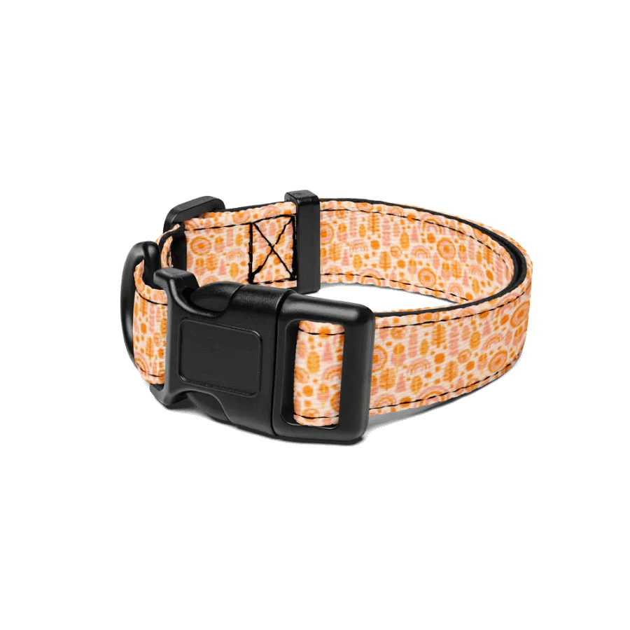 Sunset Gradient Pet Collar product image (1)