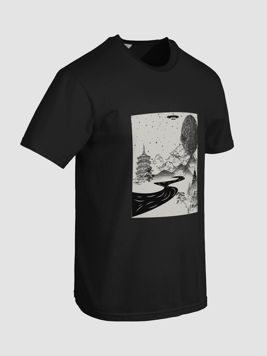 Hidden in plain sight product image (32)