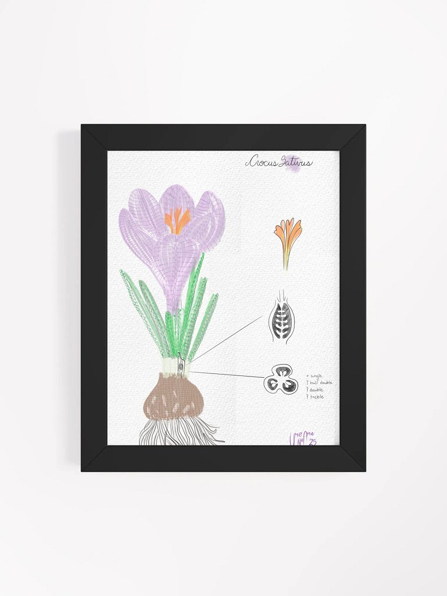 Crochet Vision: Crocus Framed Print product image (4)