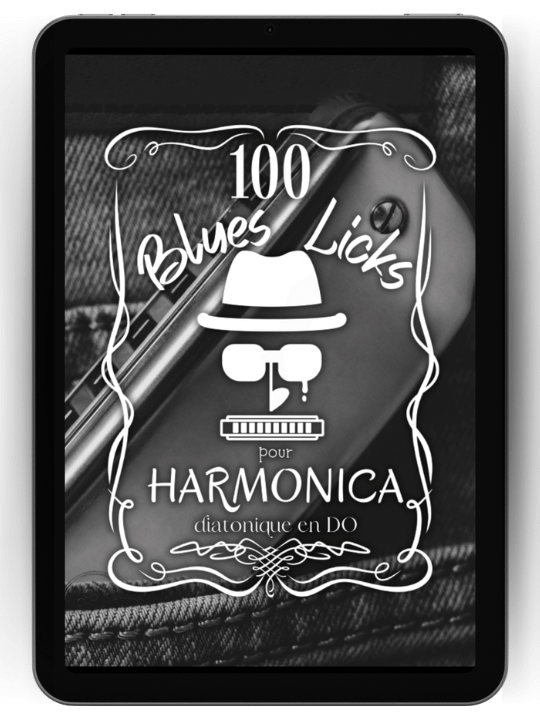 100 Blues Licks / Riffs pour harmonica diatonique en DO version PDF product image (1)