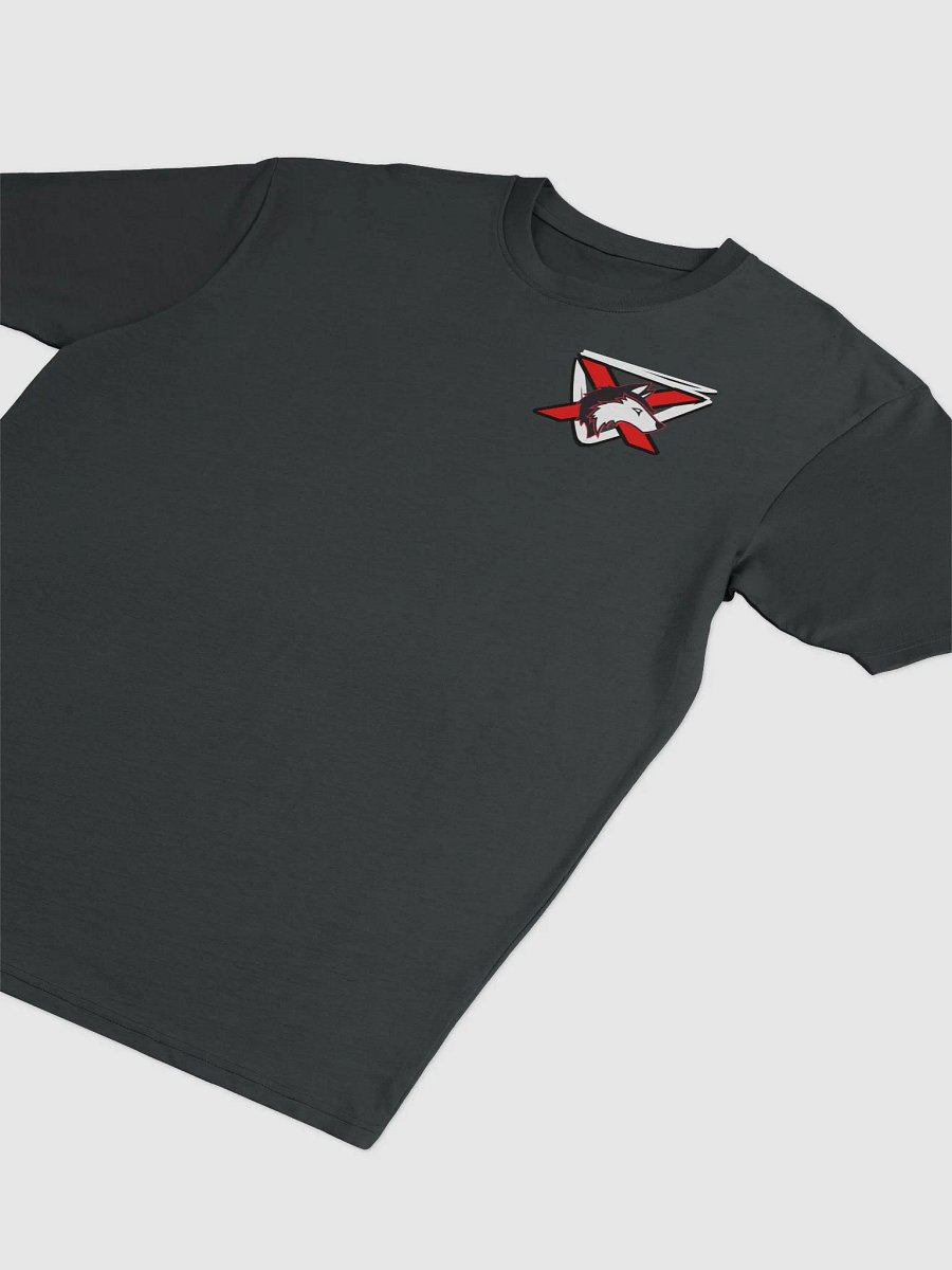 AlphaXSynergy Cotton Heritage Men's Premium Heavyweight Tee by Cotton Heritage Front Right Logo product image (3)