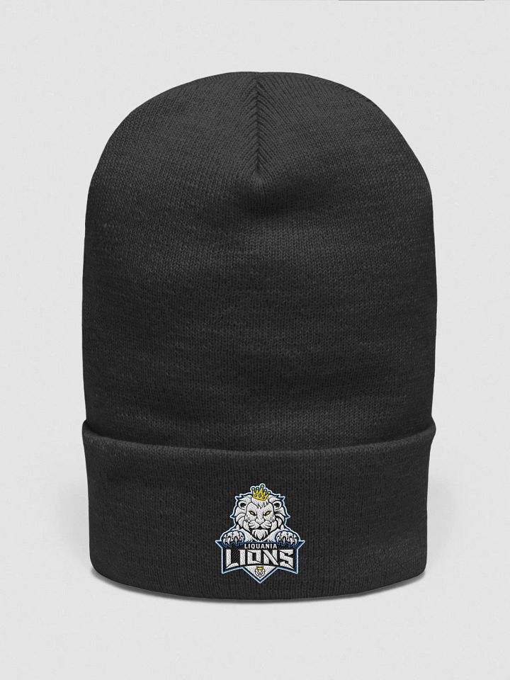 K1m6a Beanie v1.0 product image (1)