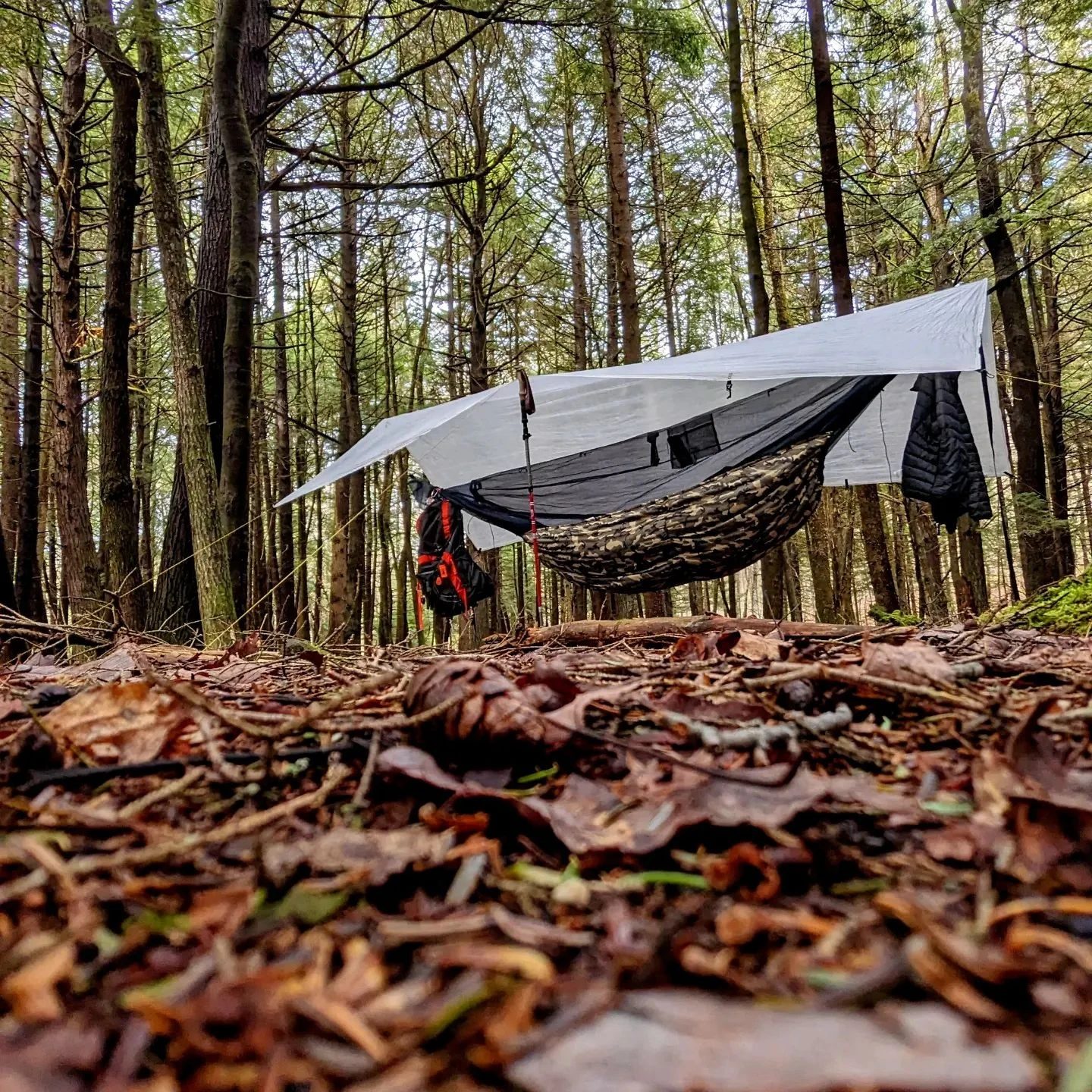 Got out for a quick overnighter between weather systems. Video tonight at 8 30pm over on my YouTube channel.

https://www.you...