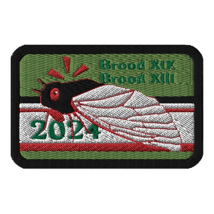 Cicada Patch product image (1)