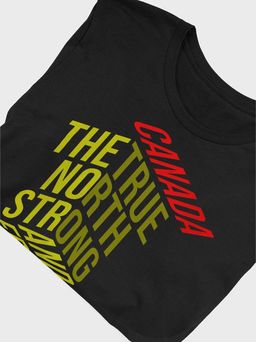 True North Stylized T-Shirt product image (34)