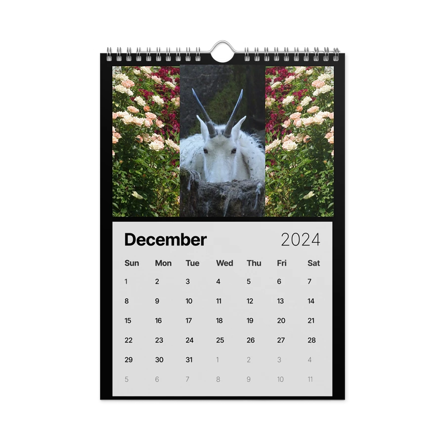 Dorn_Geek Fotos 2024 Calendar product image (6)