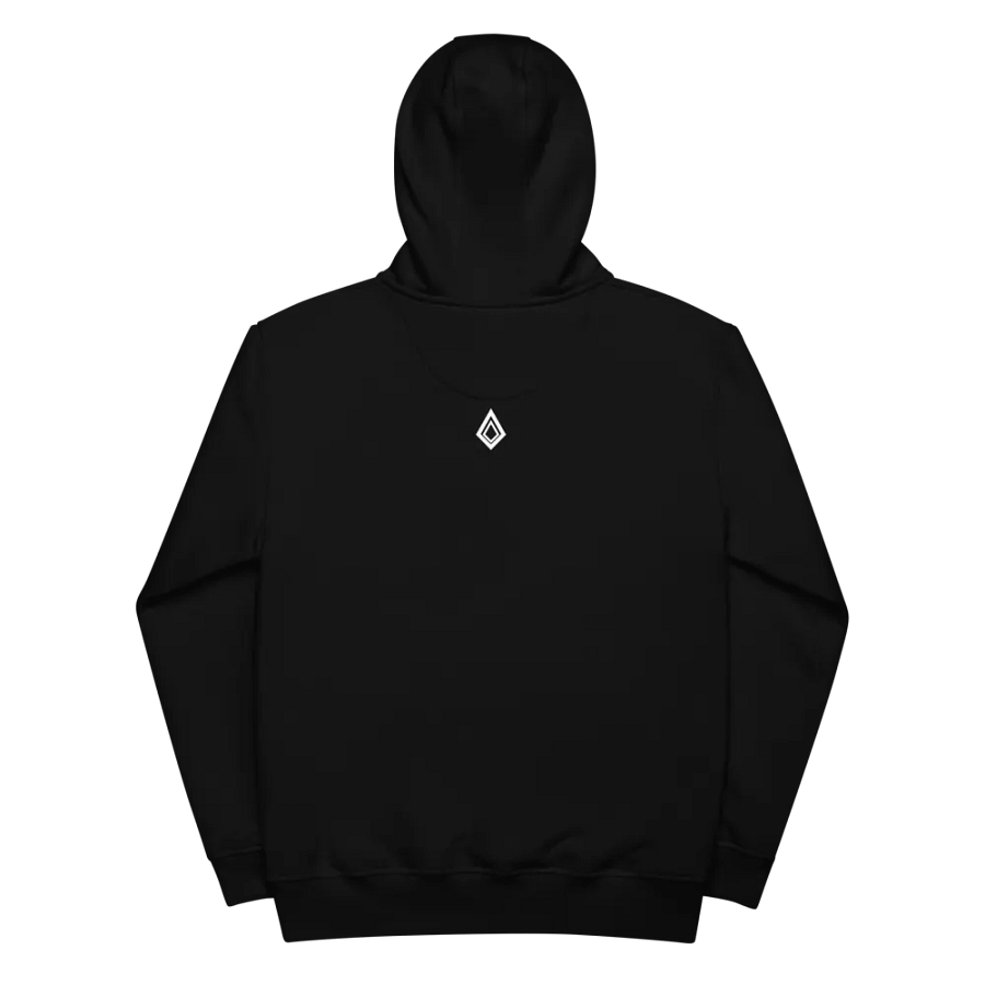 Premium Unisex Eco Hoodie product image (4)