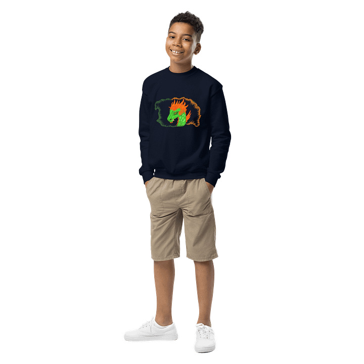 Dragon's Breath Youth Sweatshirt product image (1)