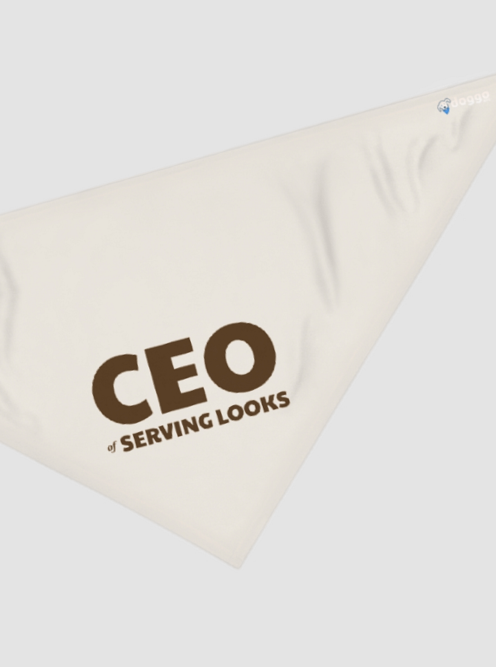 CEO of Serving Looks product image (1)