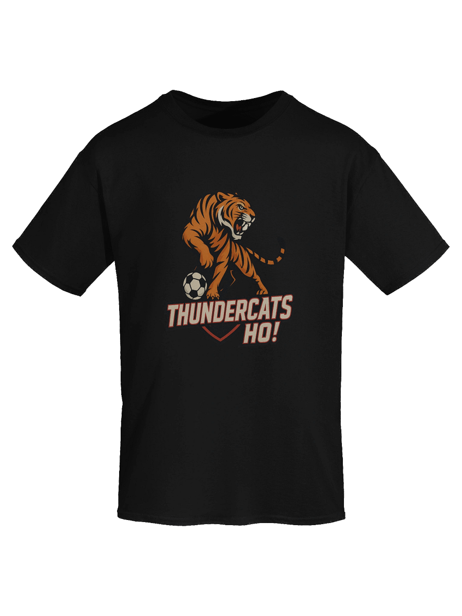 Thundercats Ho! Tiger Soccer Heavyweight Tee product image (49)