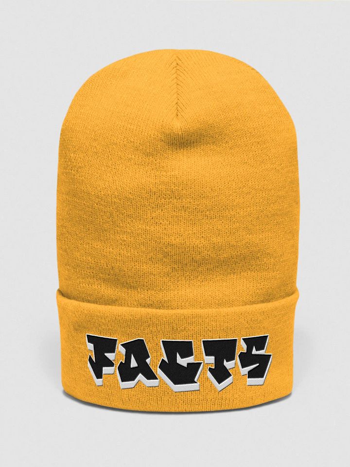 FACTS, Graffiti, Beanie product image (1)