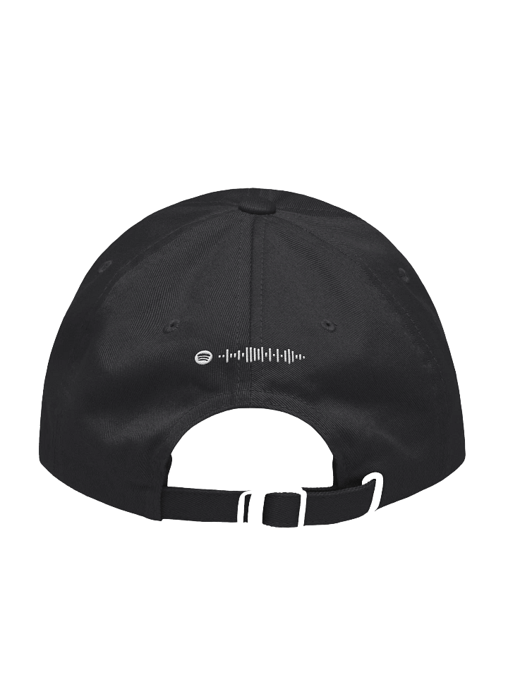 AP West Hat product image (2)