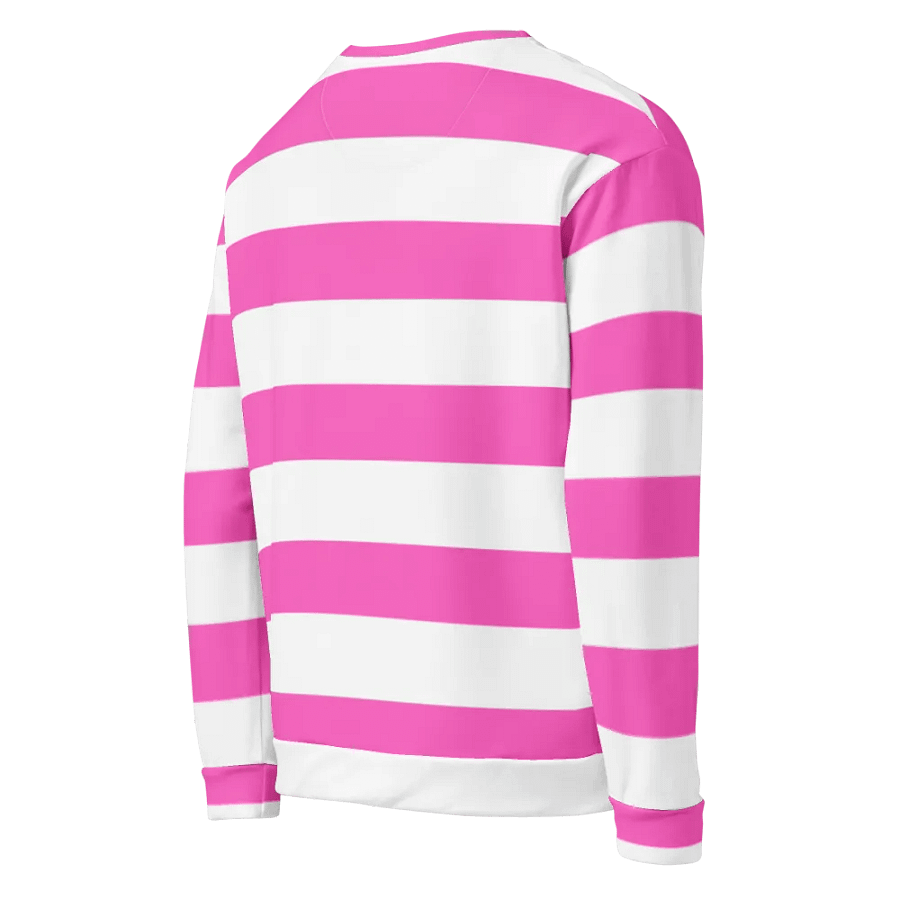 Pink and White Striped Sweatshirt product image (4)