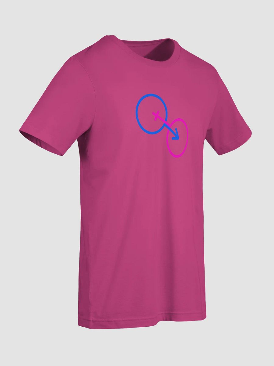 Traditional Genders Combined T-Shirt product image (7)