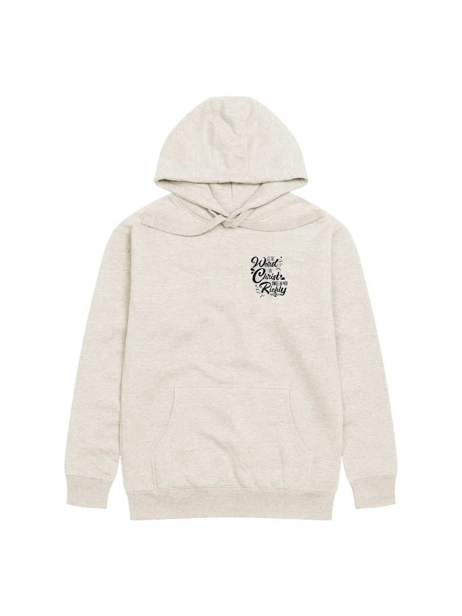 Copy of Salvation Prayer - Jesus Hoodie product image (3)