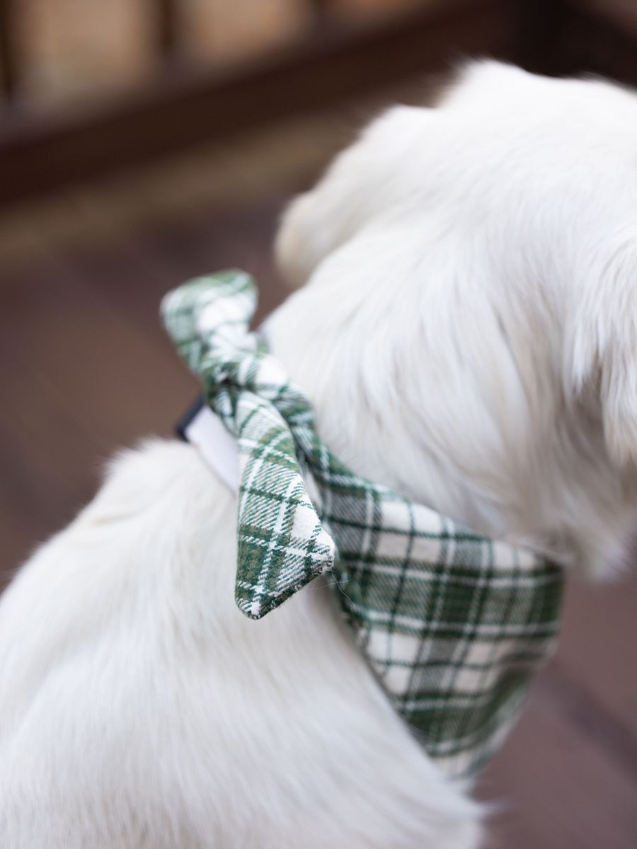 Plaid Bandana product image (3)