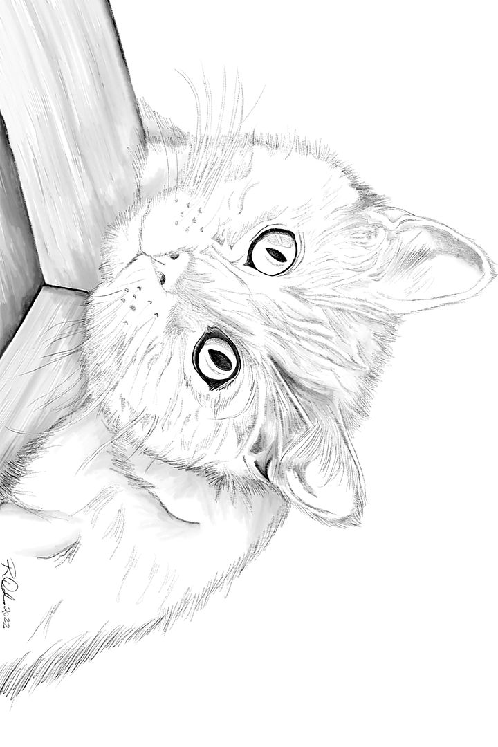 That Gaze (Original) product image (1)