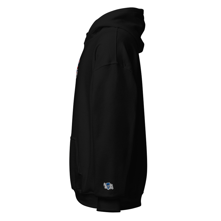 Union Bear Hoodie product image (3)