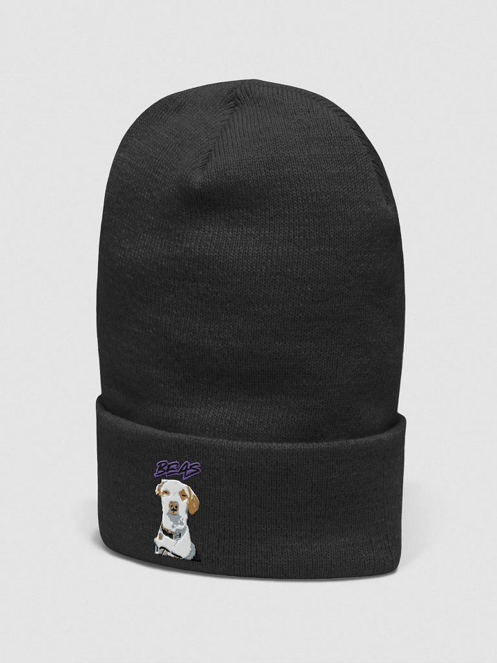 The Beas product image (2)