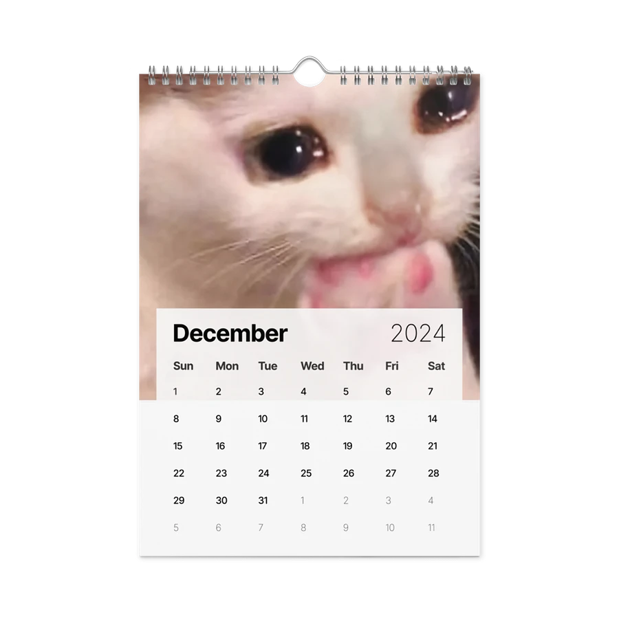 Wall Calendar (2024): Meme Cats product image (6)