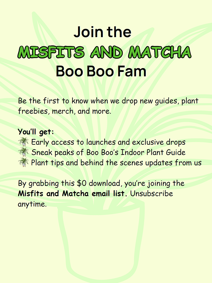 Join the Misfits and Matcha List (Early Access + Sneak Peeks) product image (1)