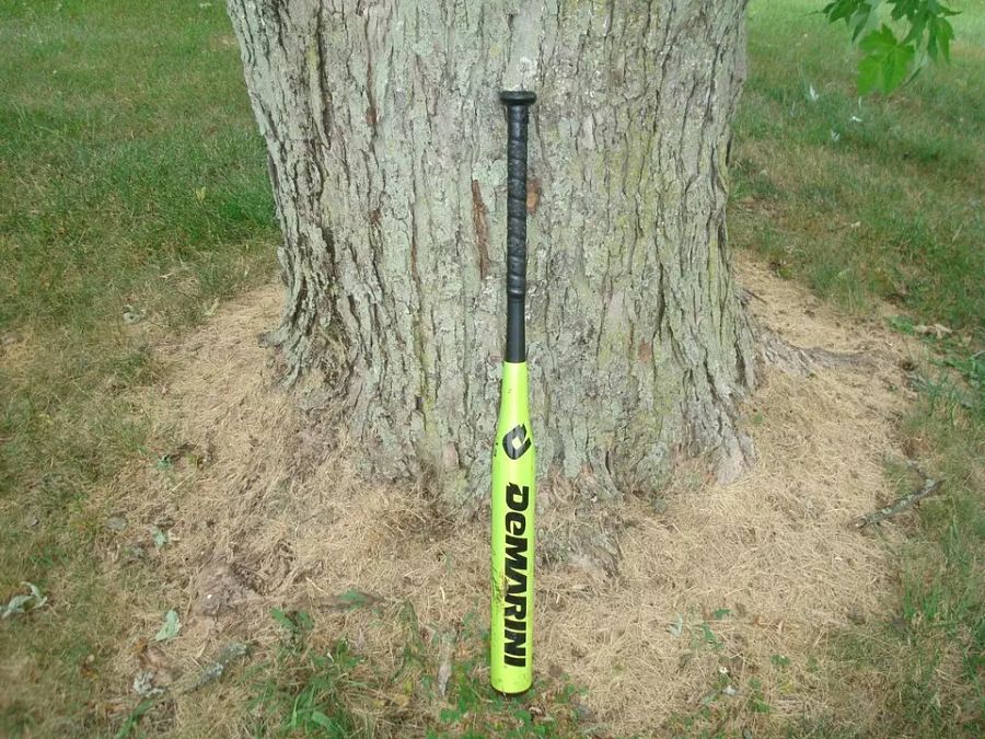 DeMarini Crystl Bustos Signature BFP12 Softball Bat - 32
