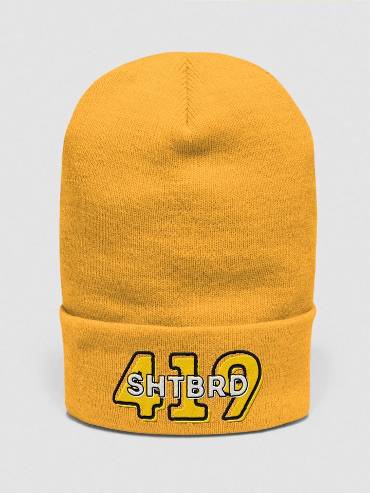 ShtBrd419 Bright-Colored Beanie product image (2)