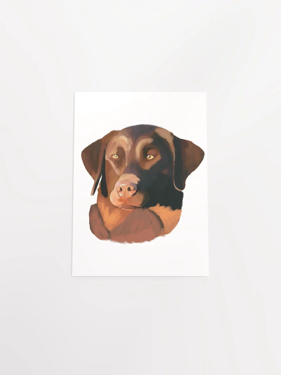 Chesapeake Bay Retriever product image (50)