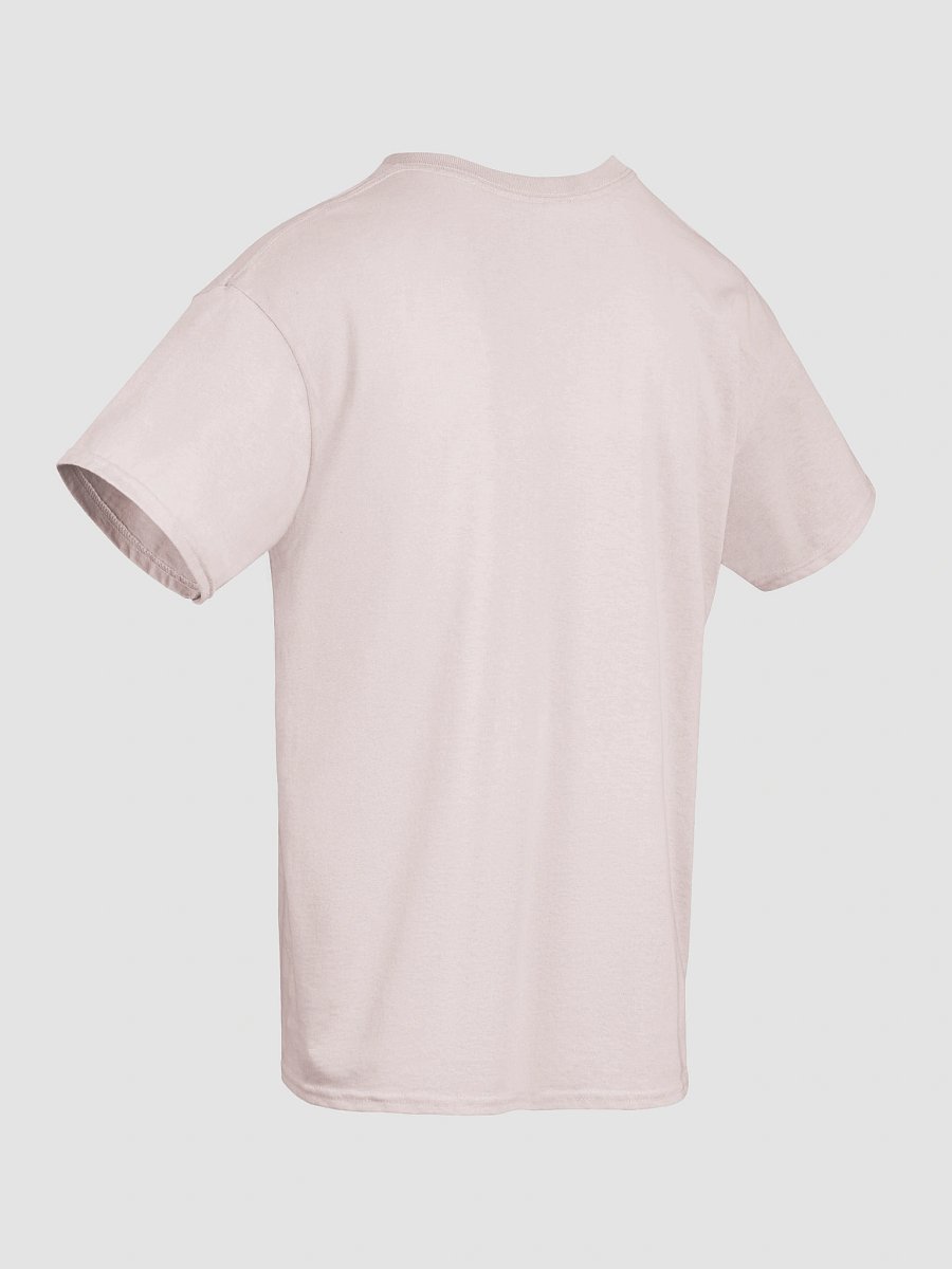 Healthy Wealthy Vegetarian & Vegan T-Shirt product image (10)