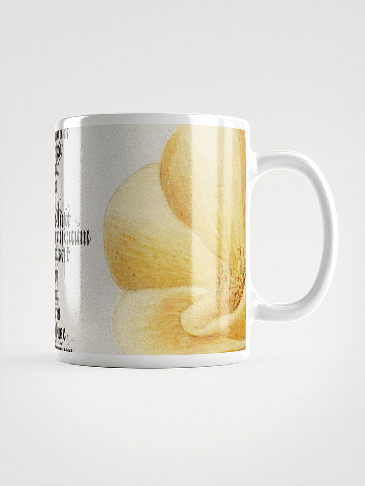 Botanical Illustration White Glossy Mug product image (1)