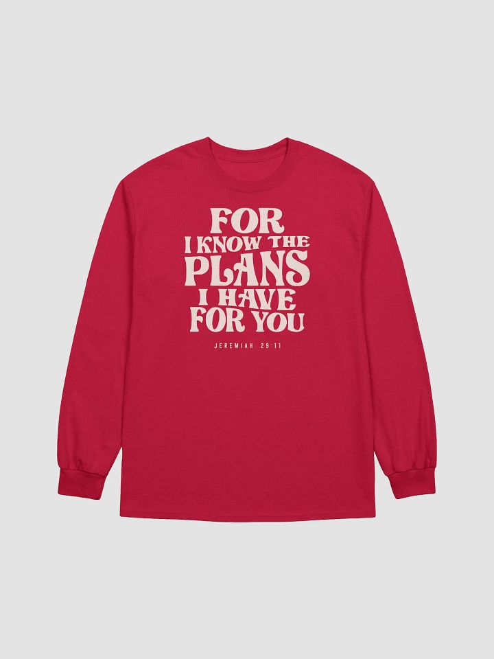 Jeremiah 29:11 Divine Plans Await - Christian Quote product image (1)