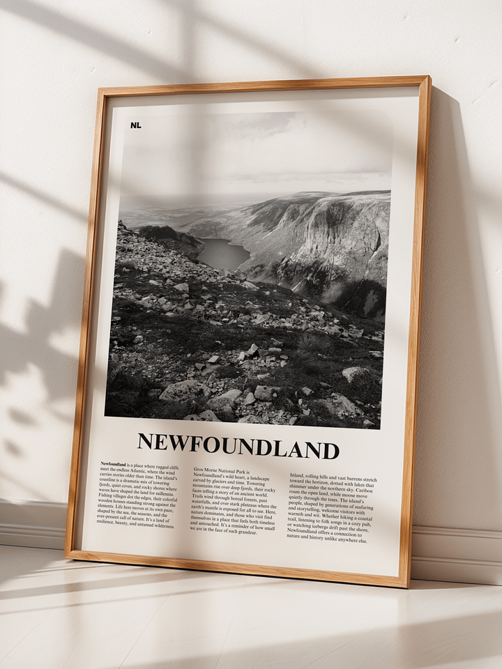 Newfoundland 02 Newspaper Poster product image (2)