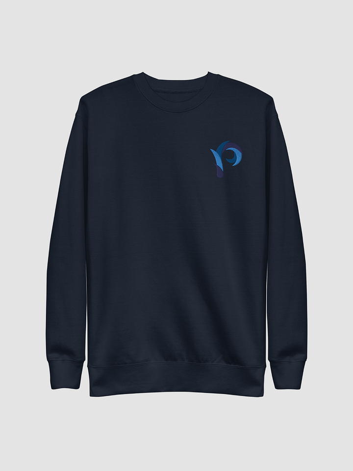 PP Sweater - Slim // Embroidered product image (2)