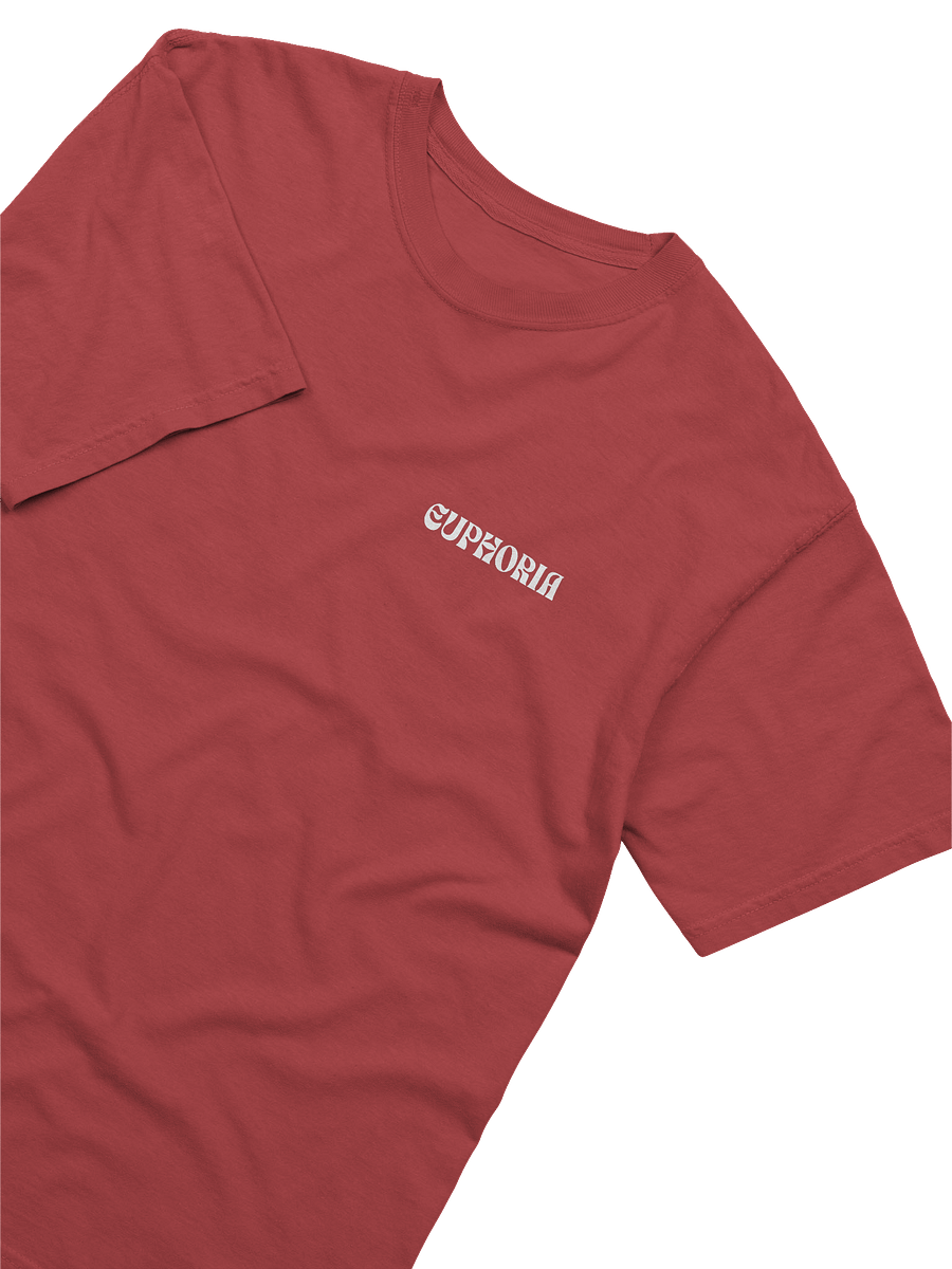 Euphoria Angelic Relaxed Tee product image (41)