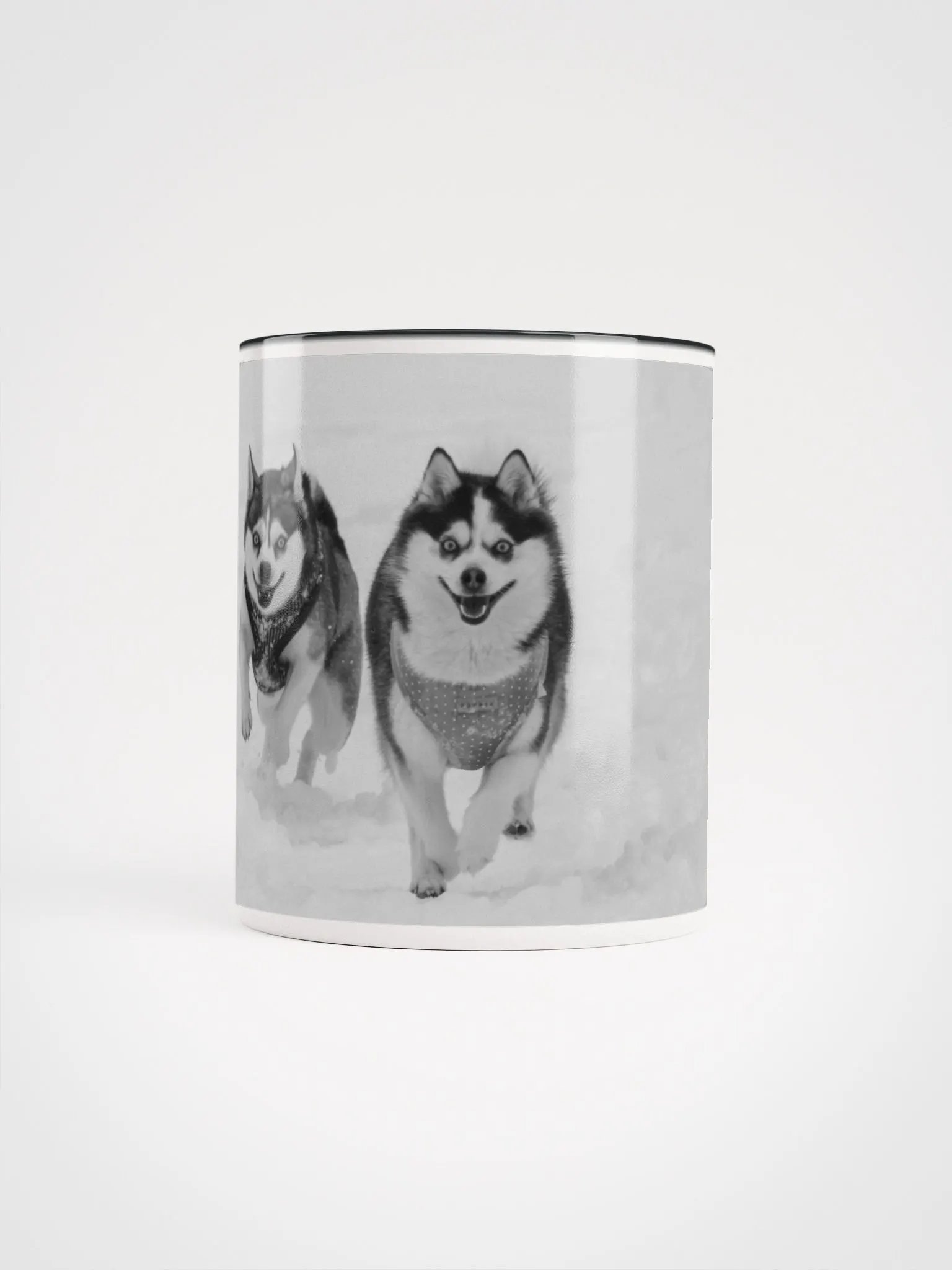Klee Kai brother and sister running on the snow - B&W product image (1)