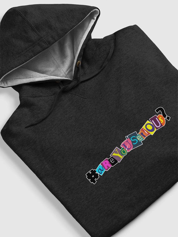 #areyouserious? Unisex Champion Hoodie product image (2)