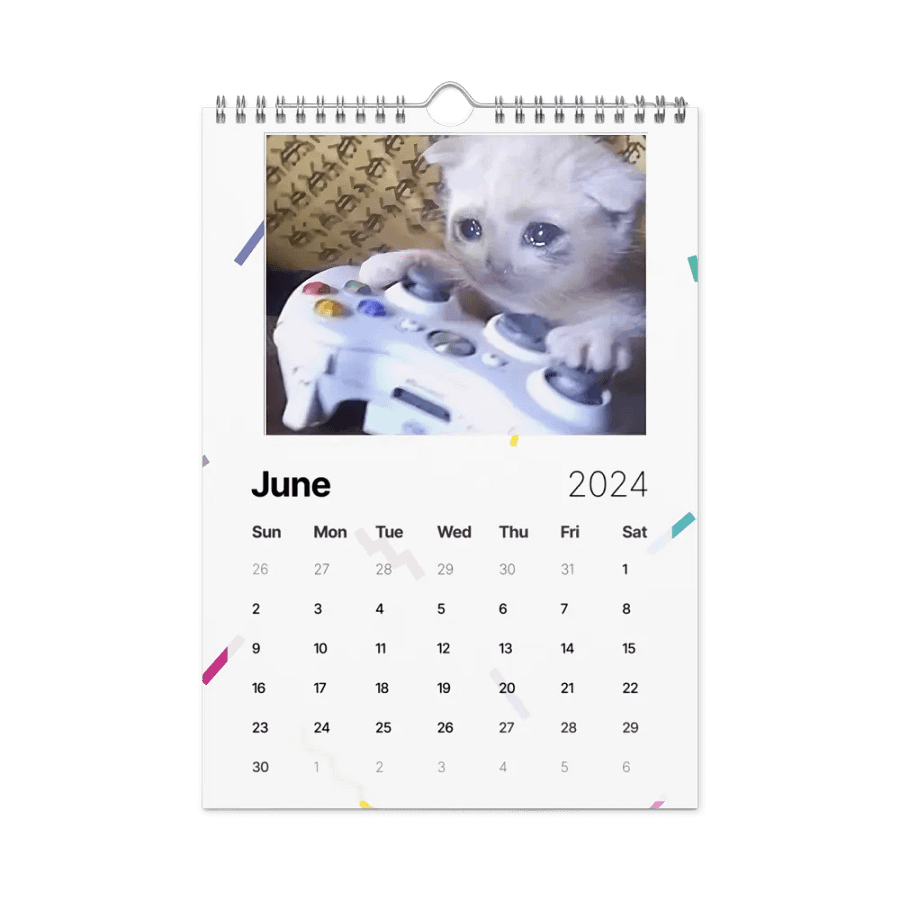 Wall Calendar (2024): Meme Cats product image (12)
