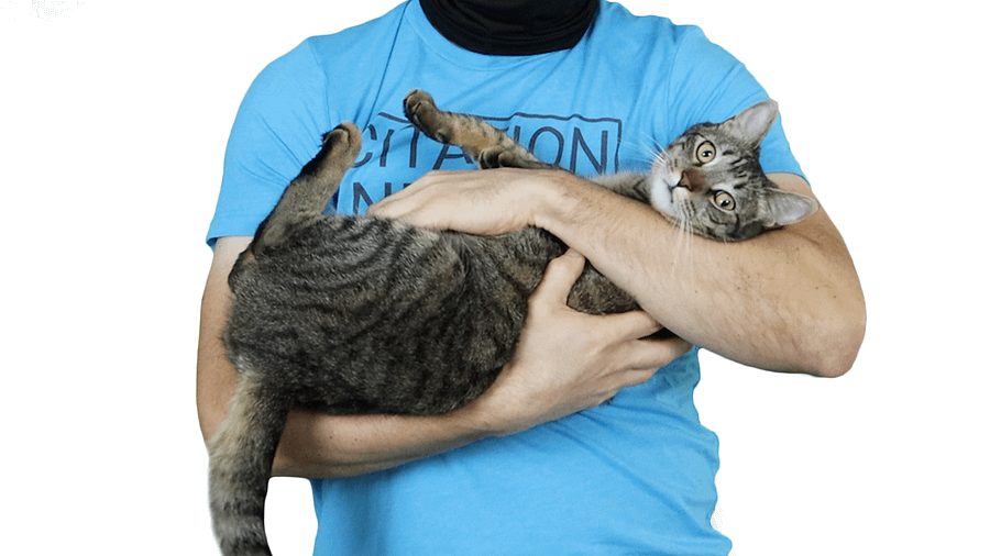 Citation Needed T-Shirt (Black Design, Tri-Blend) product image (7)