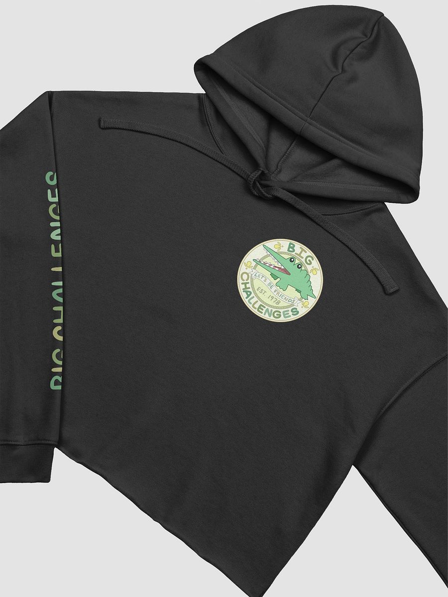 Lil Big Challenges Cropped Hoodie product image (3)