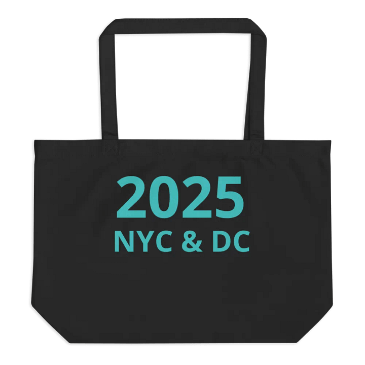 2025 NYC & DC Trip: Bag product image (1)