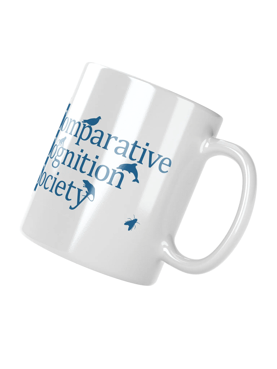 CCS mug product image (6)