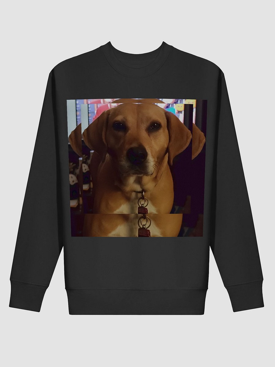 Luna Sweatshirt product image (13)