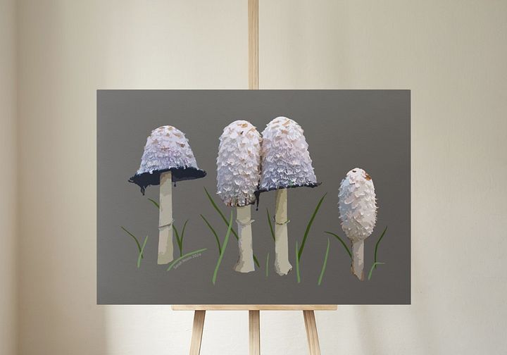 Shaggy Mane 18x24 Canvas Print product image (1)