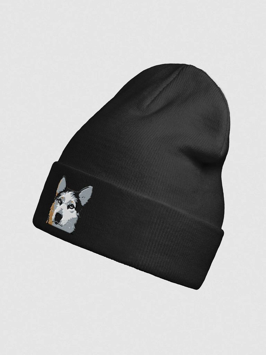 Luna Embroidered Otto Beanie product image (2)