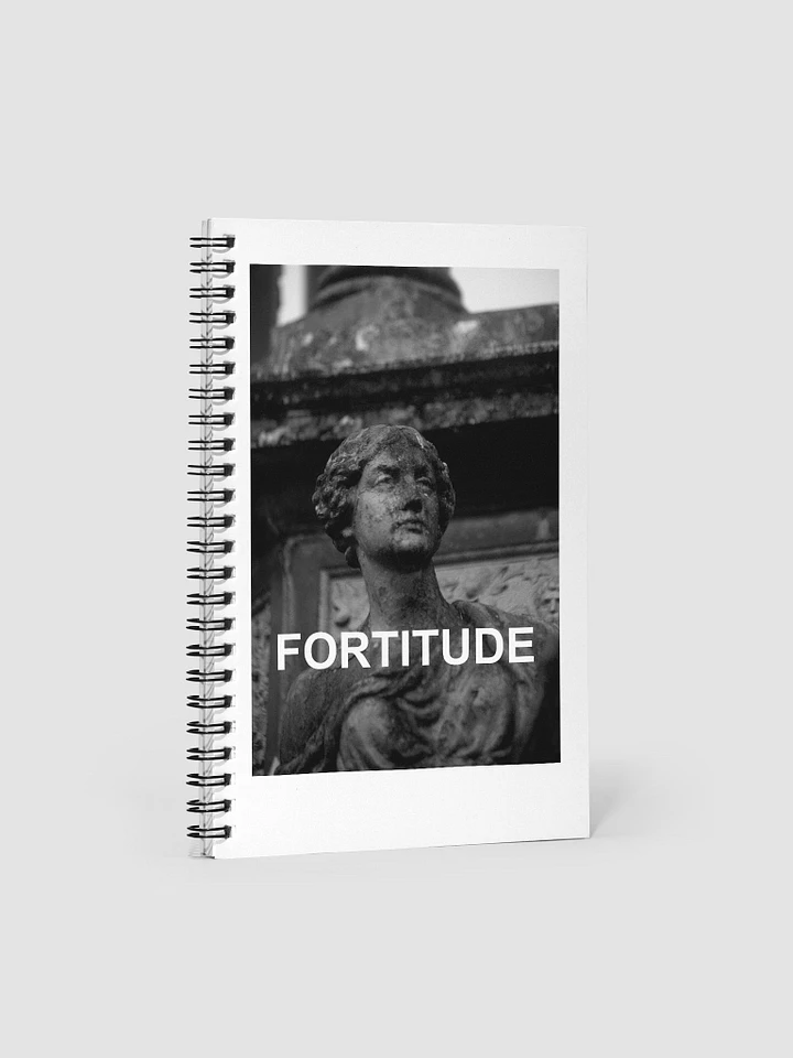 Notebook Fortitude product image (1)