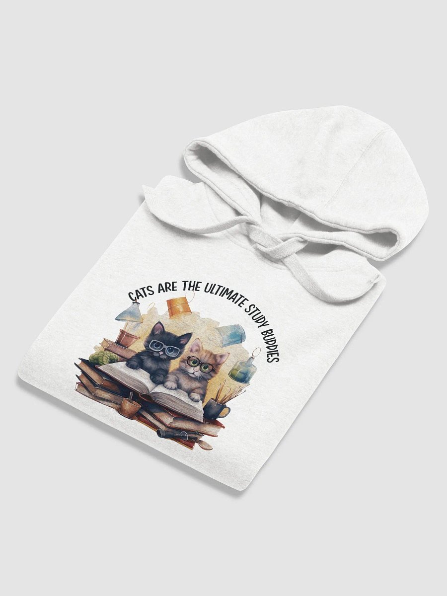 Cozy Kittens Reading Hoodie product image (6)
