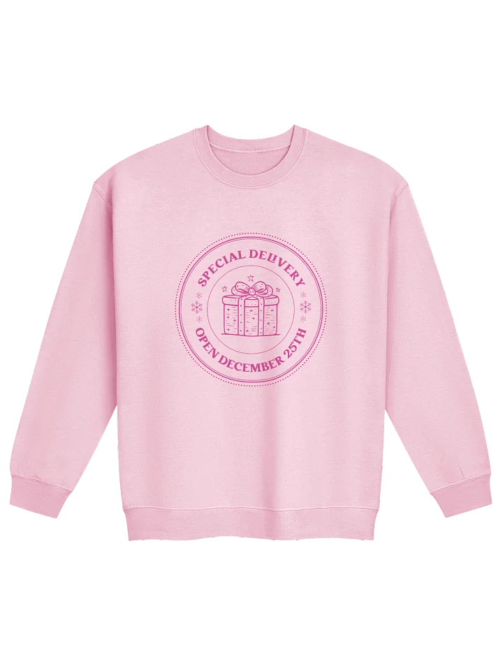 Special Delivery Christmas Jumper – Open December 25th! product image (1)